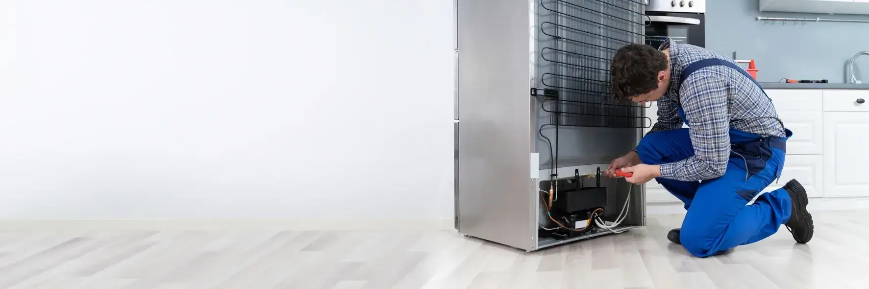 Professional appliance repair
